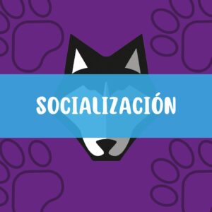 Paseo Socialización
