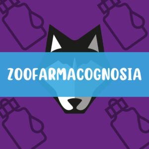 Zoofarmacognosis