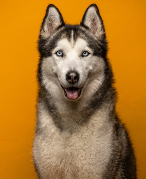 _DSC0585